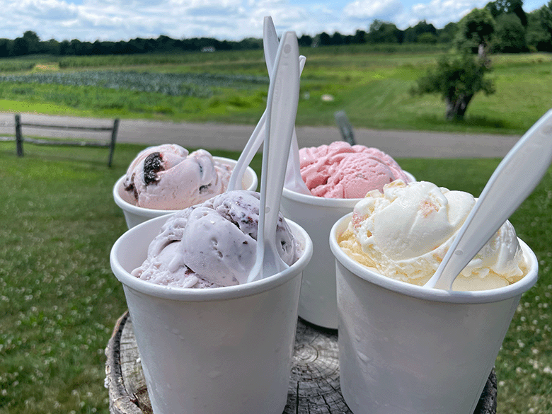 Ice Cream Stand