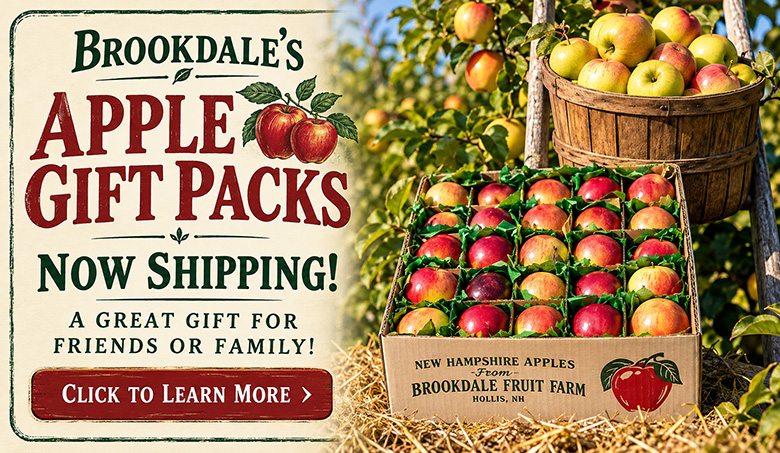 Apple Gift Packs